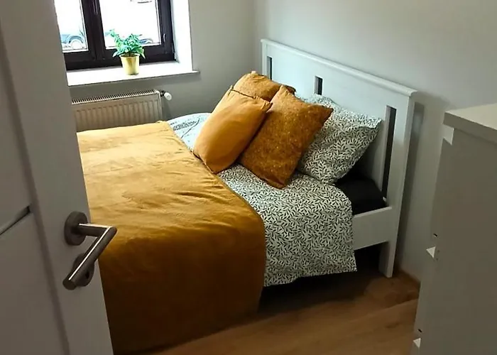 Zloty Swietoduska 12